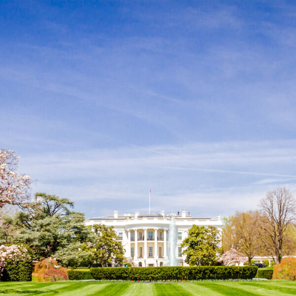 The White House viewed from the south lawn on a bright spring day with blooming trees